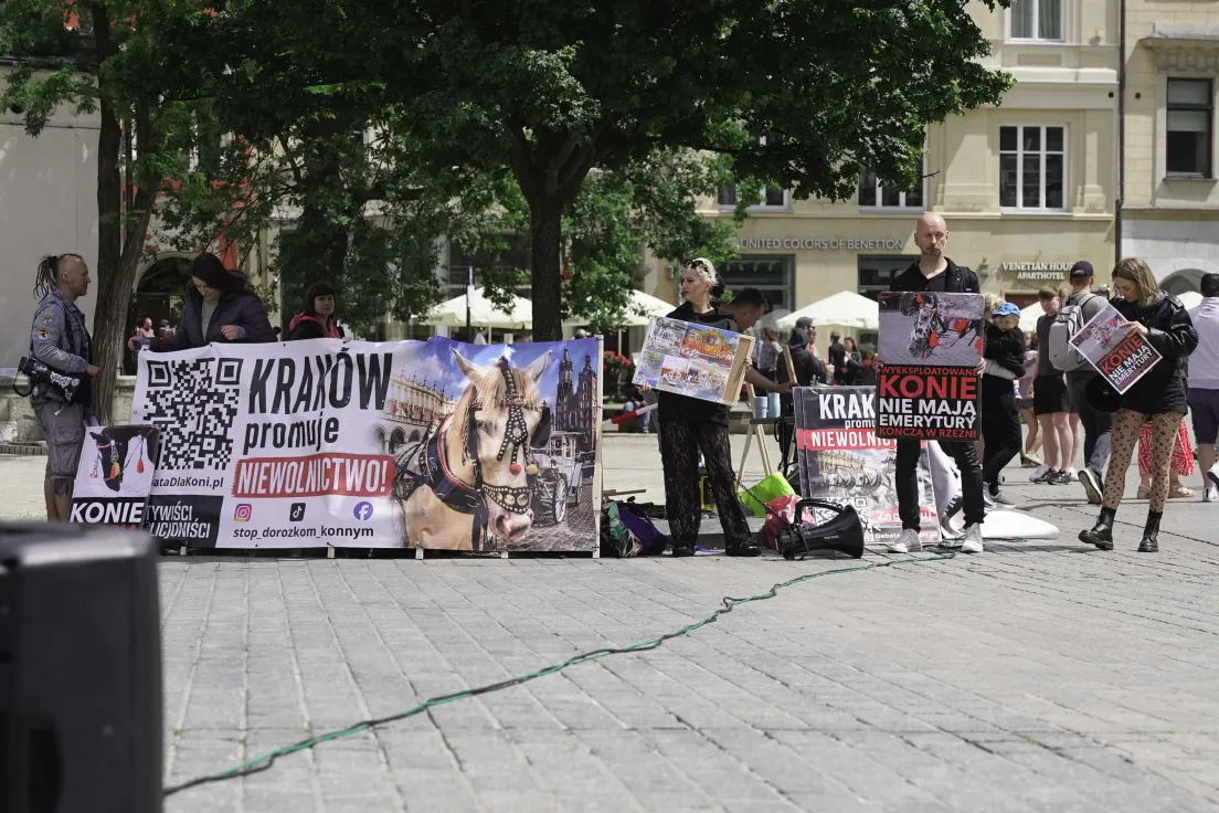 Protest na rynku głównym przeciwko dorożkom