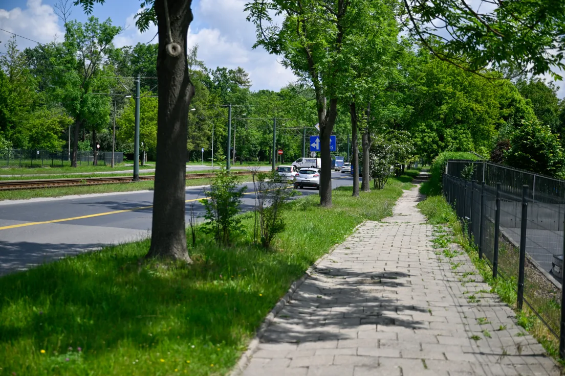 Ul. Kocmyrzowska
