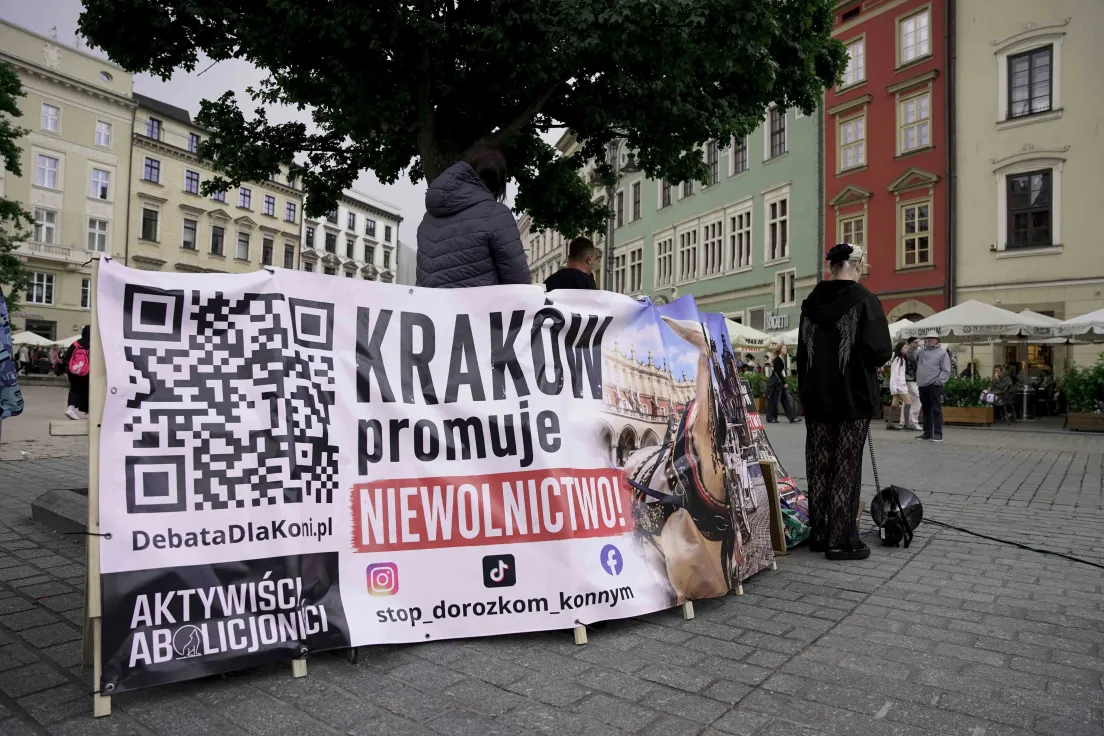 Protest na rynku głównym przeciwko dorożkom