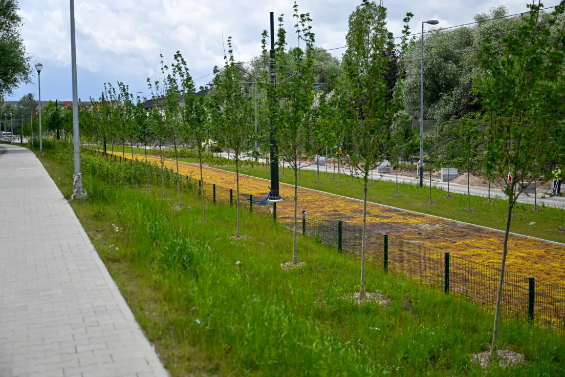 Budowa linii tramwajowej do Mistrzejowic