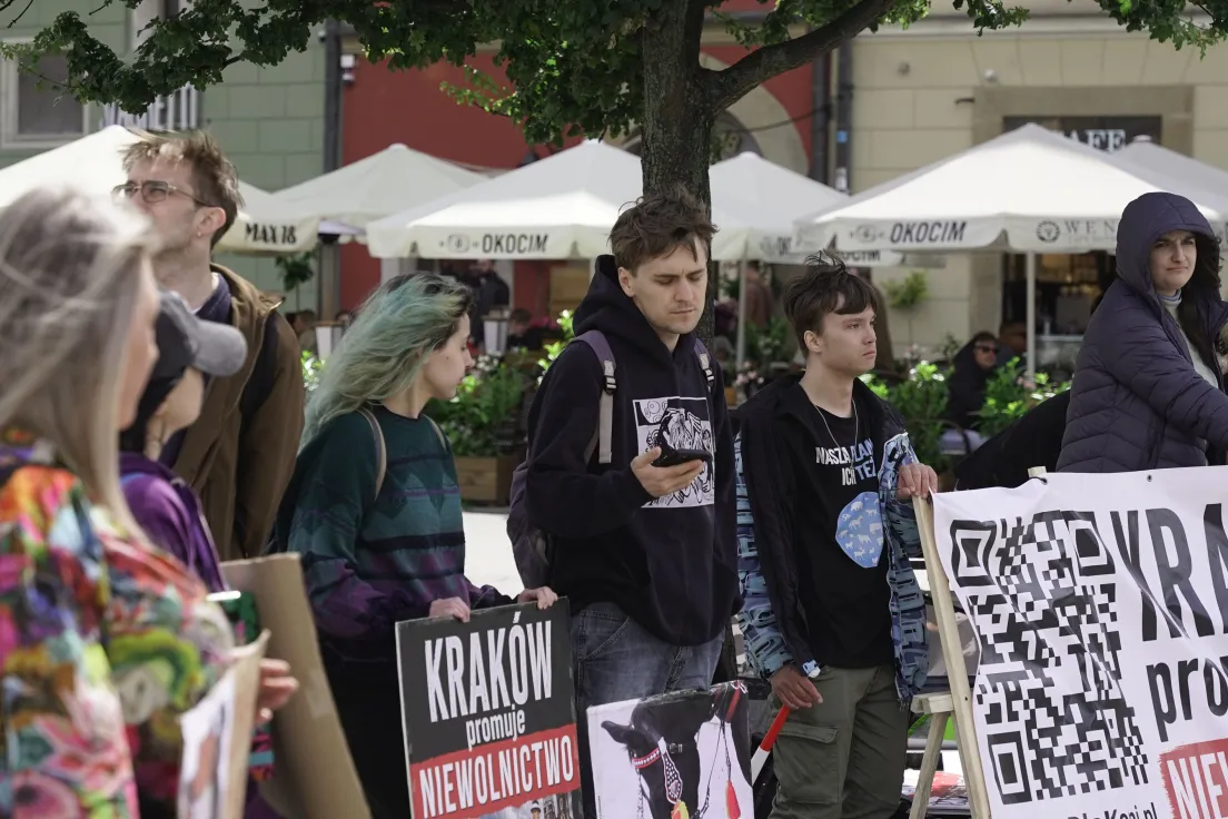 Protest na rynku głównym przeciwko dorożkom