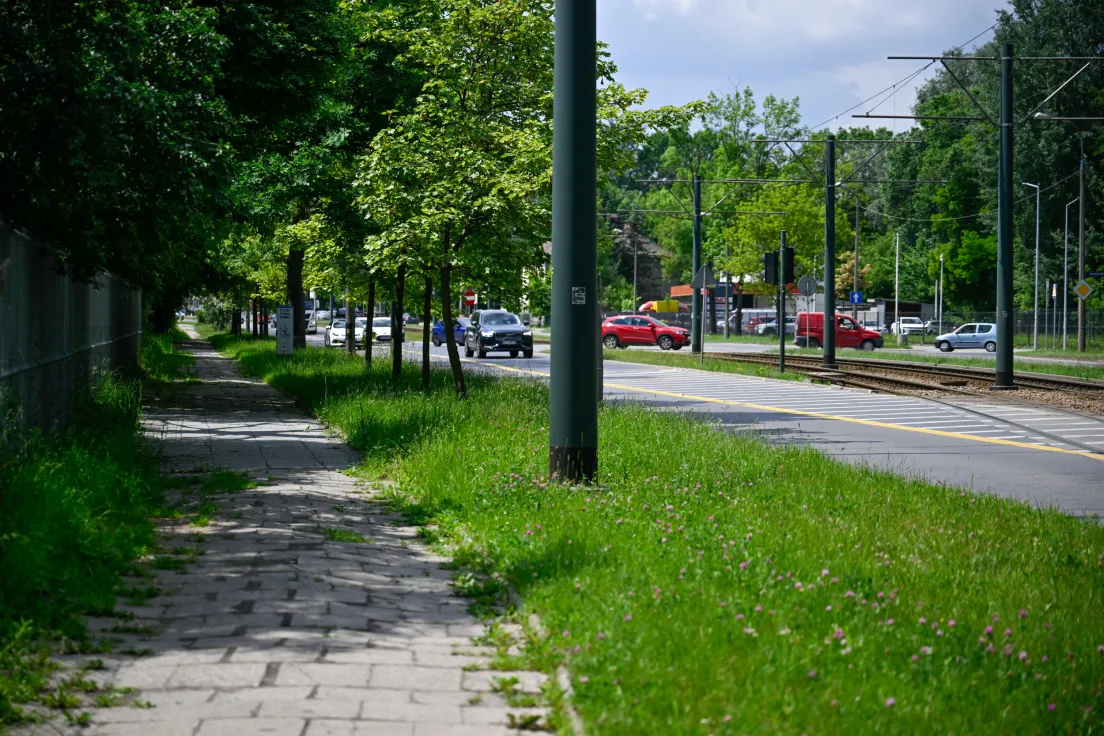 Ul. Kocmyrzowska