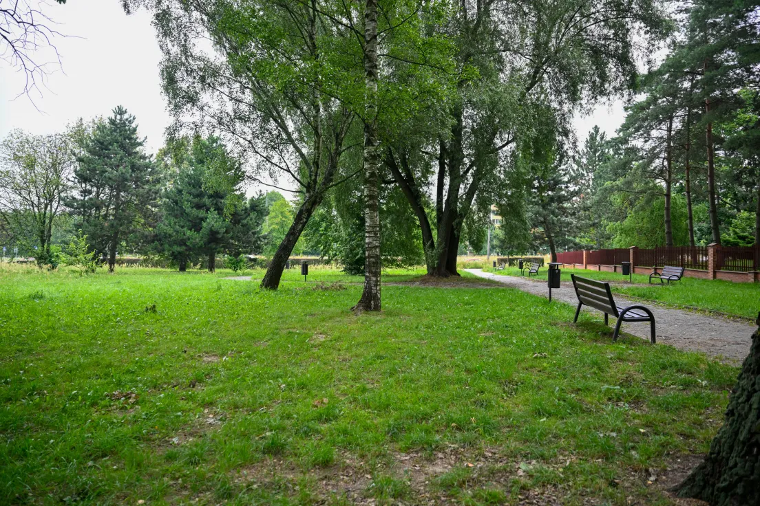 Park Aleksandry