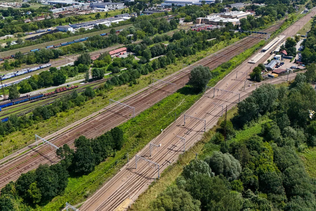 Drzewa przeznaczone pod wycinkę na terenie PKP