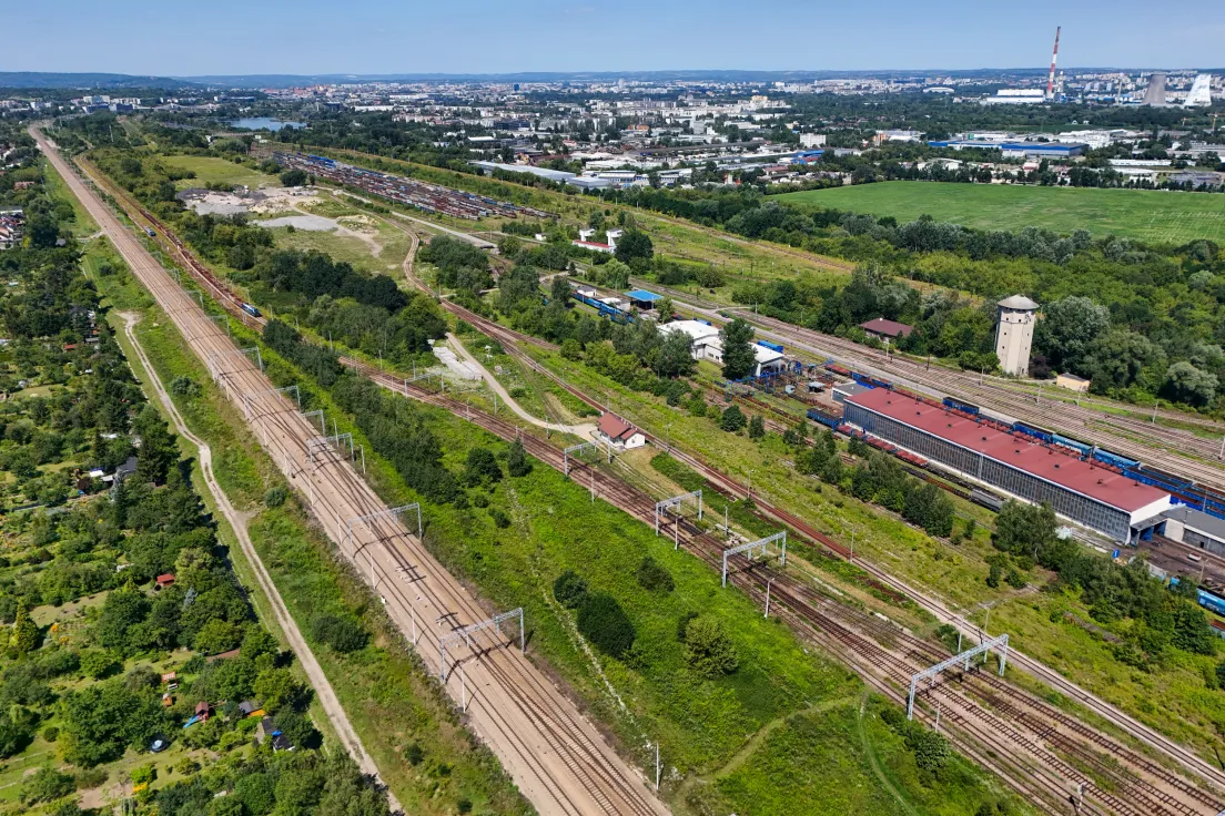 Drzewa przeznaczone pod wycinkę na terenie PKP