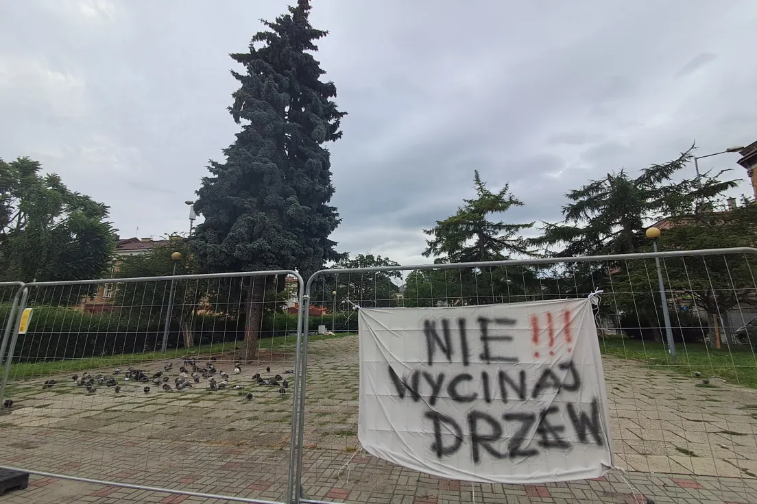 Plac Drzewny w Tarnowie