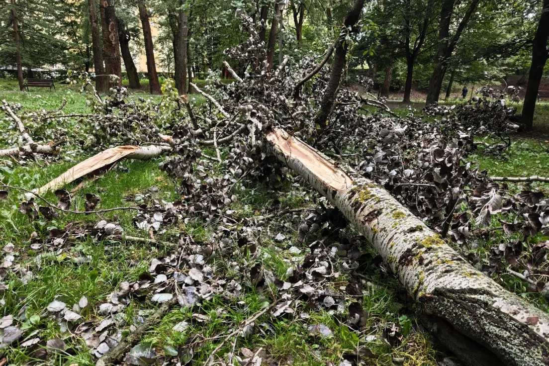 Połamane drzewa w Parku Lilli Wenedy