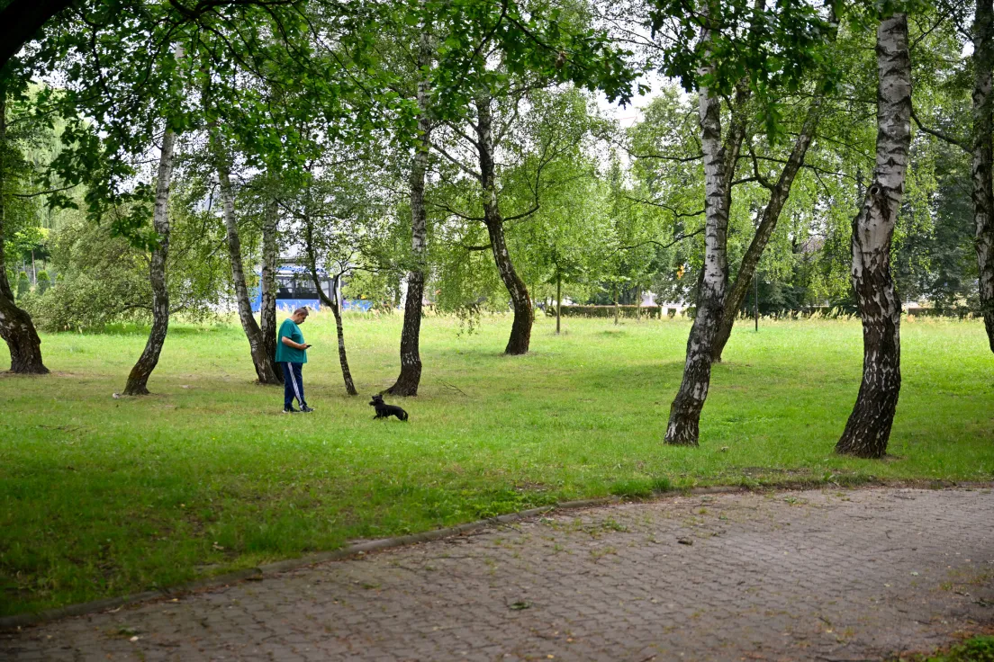 Park Aleksandry