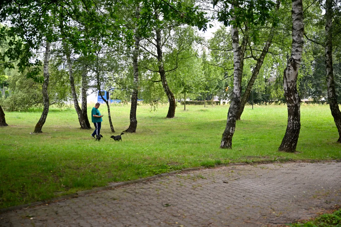 Park Aleksandry
