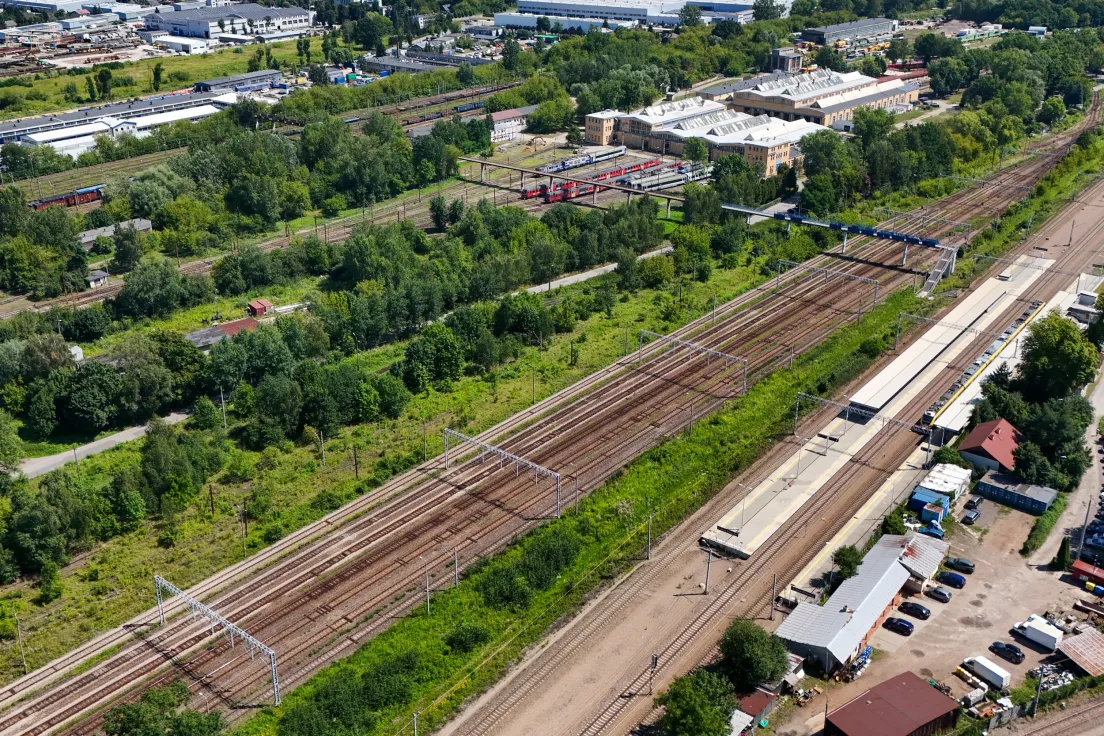 Drzewa przeznaczone pod wycinkę na terenie PKP