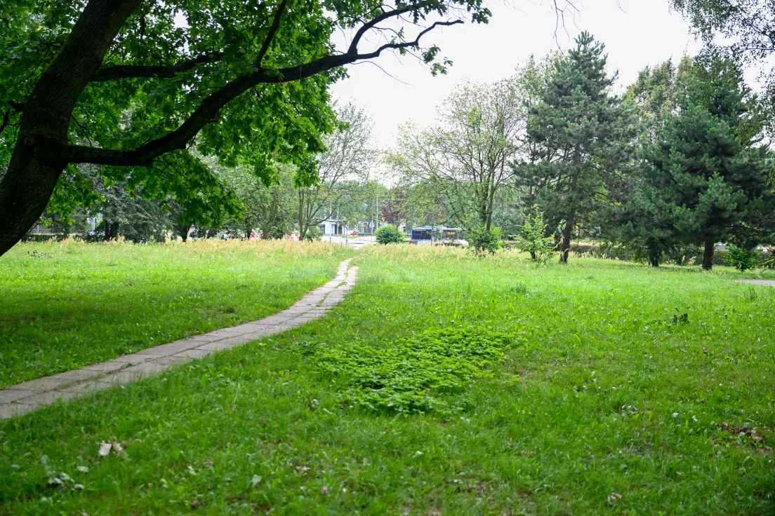 Park Aleksandry. Zdjęcie archiwalne