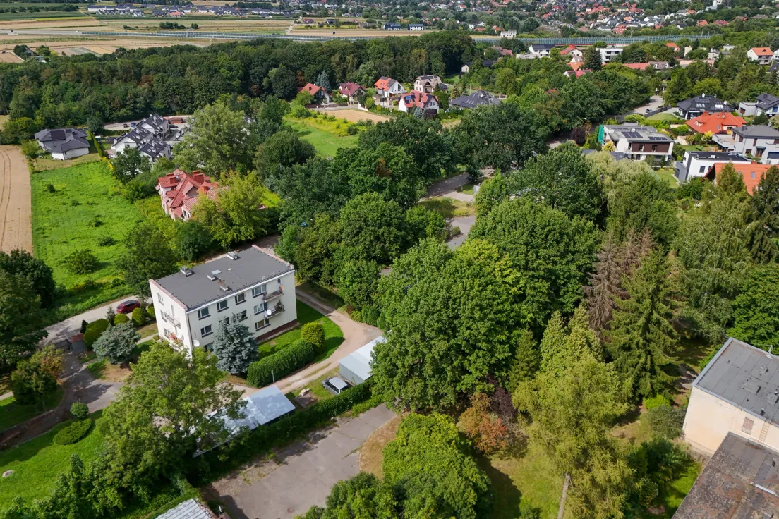 Drzewa przeznaczone pod wycinkę przy ul. Górka Narodowa 116