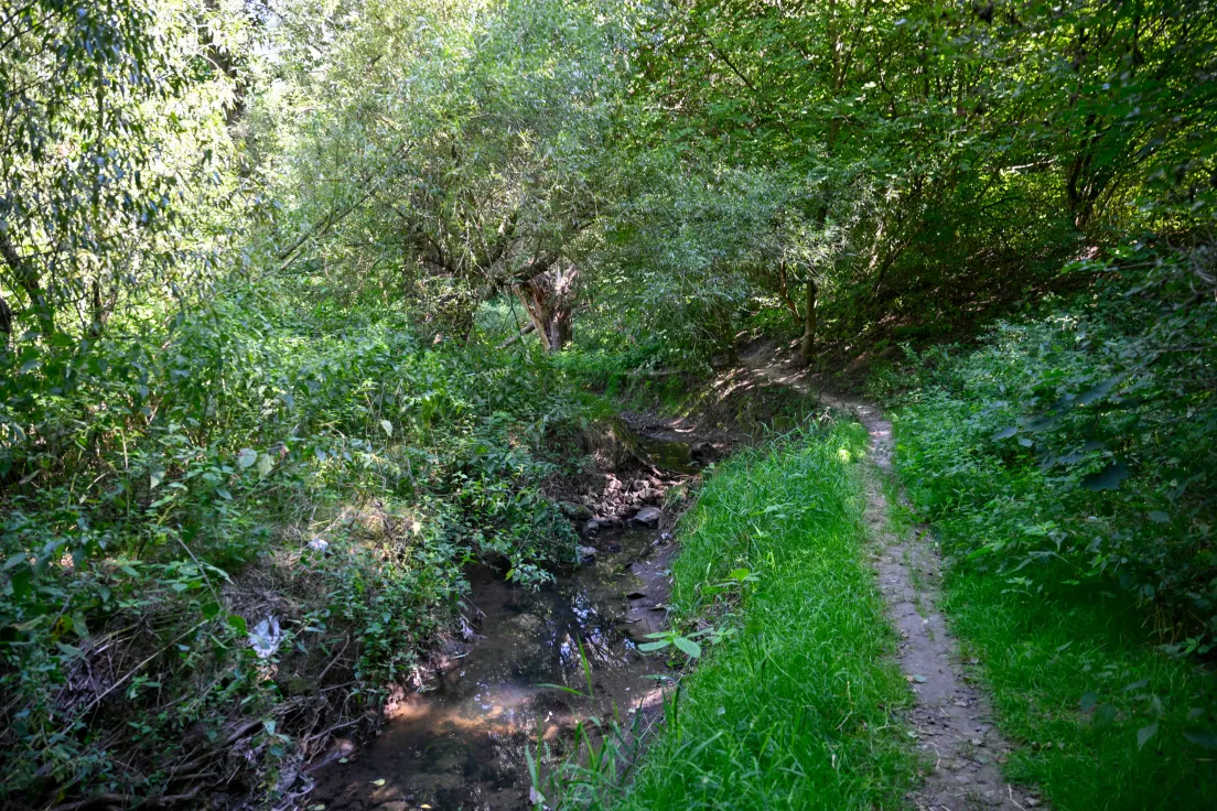Sudół przy ul. Strzelców