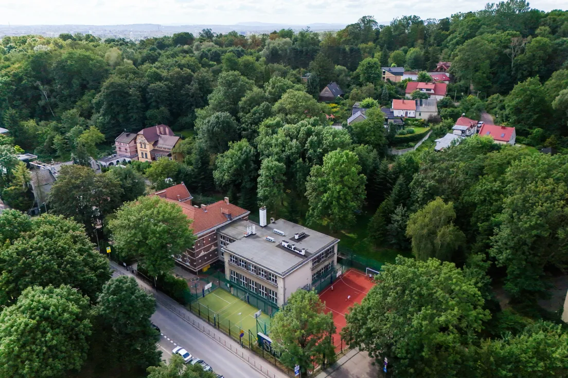 Drzewa przy ul. Królowej Jadwigi 78