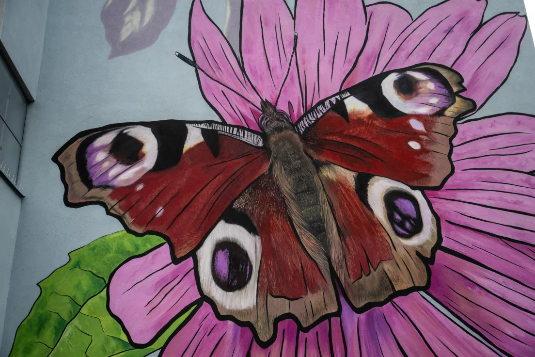 Nowy mural na bloku przy ul. Spółdzielców 13