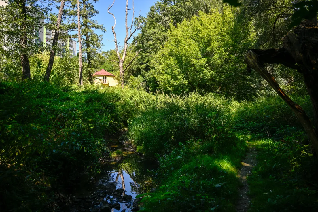 Sudół przy ul. Strzelców