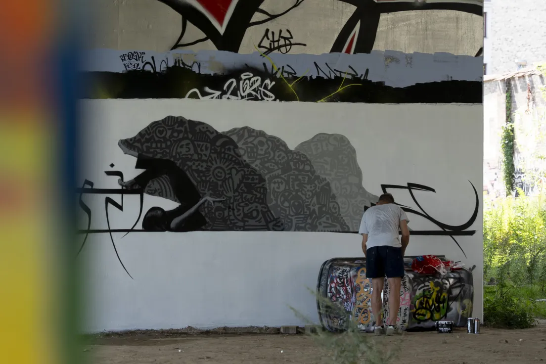 Kraków Walls