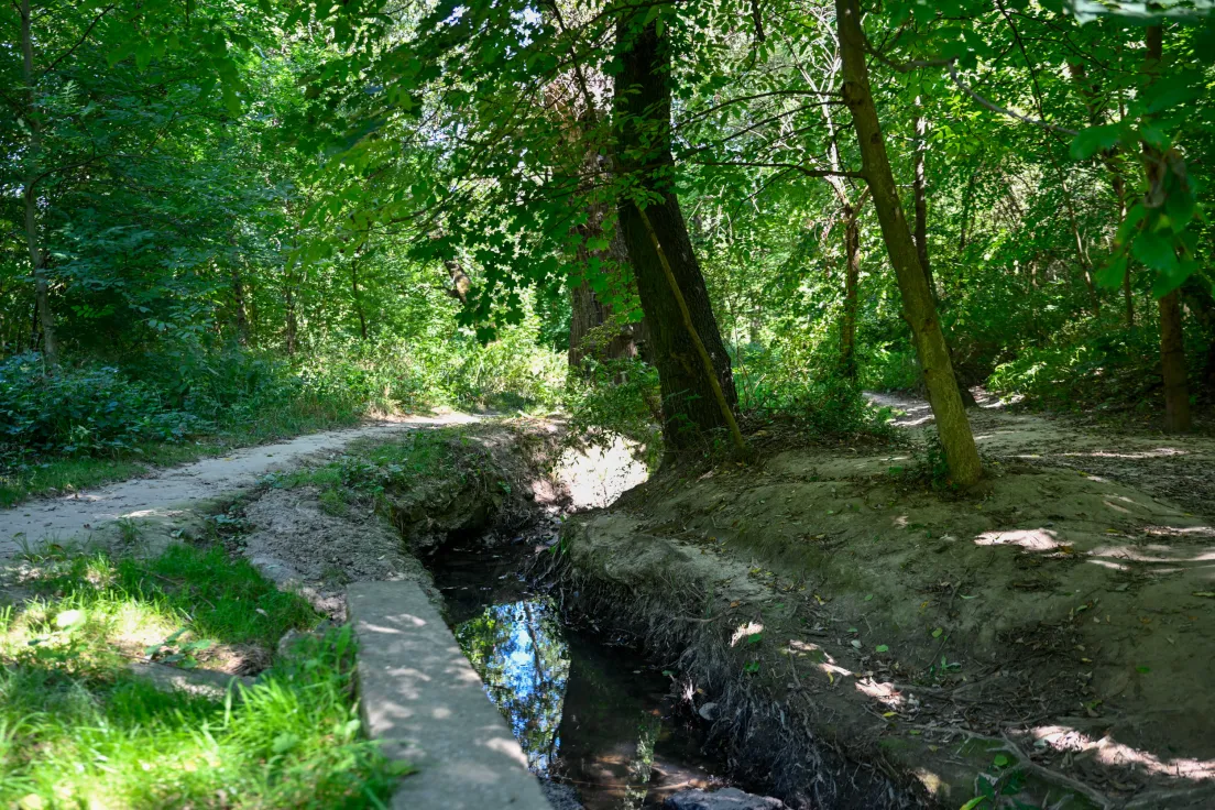 Sudół przy ul. Strzelców
