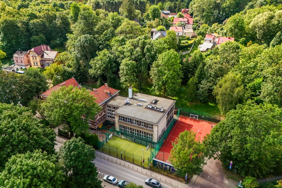 Drzewa przy ul. Królowej Jadwigi 78