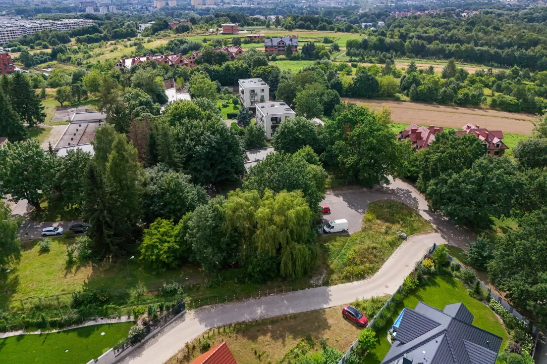 Drzewa przeznaczone pod wycinkę przy ul. Górka Narodowa 116