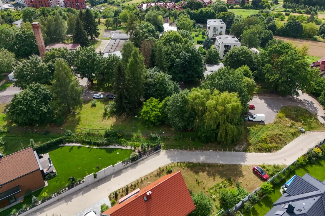 Drzewa przeznaczone pod wycinkę przy ul. Górka Narodowa 116
