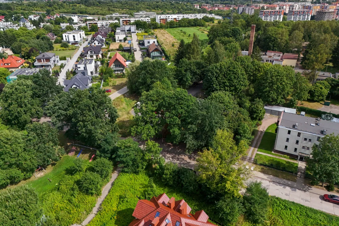 Drzewa przeznaczone pod wycinkę przy ul. Górka Narodowa 116
