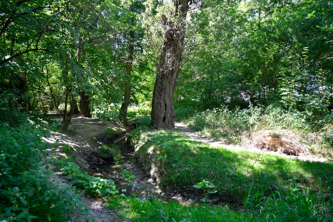 Sudół przy ul. Strzelców