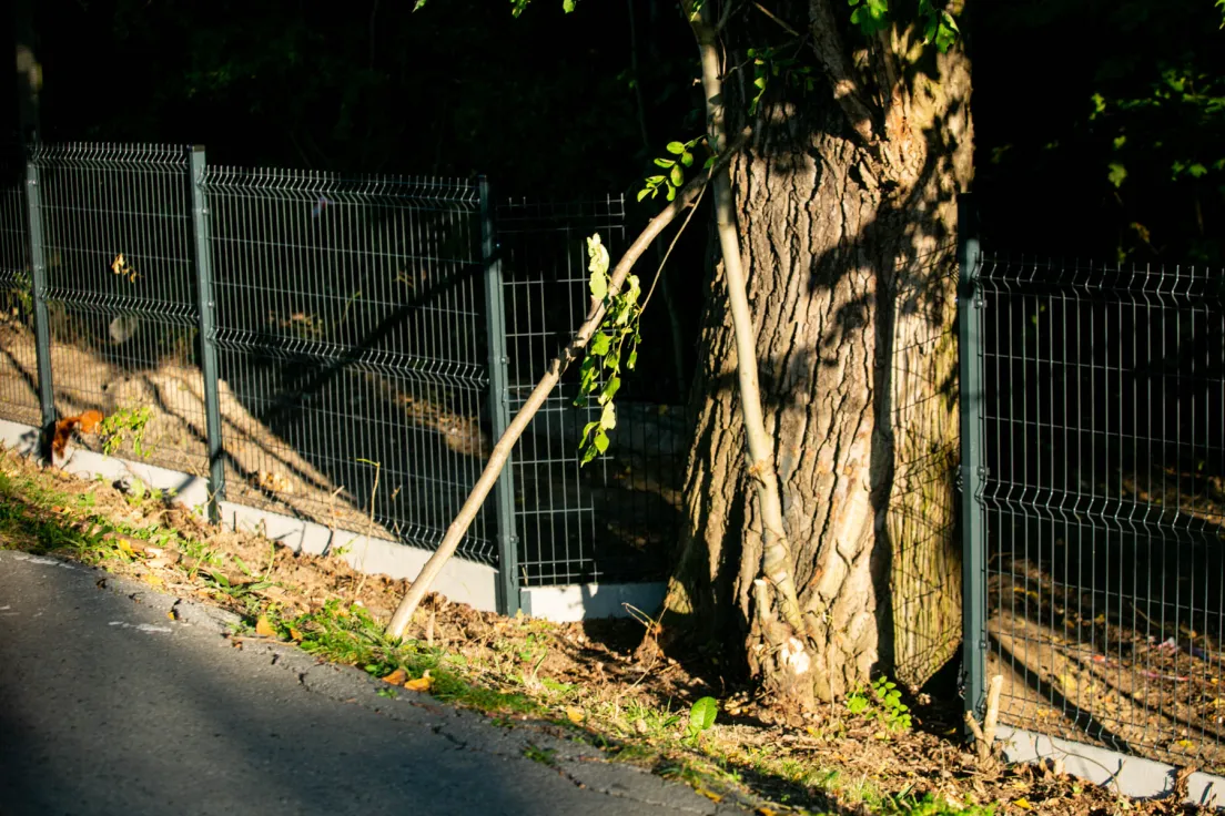 Ogrodzony teren pod budowę Akademii Muzycznej