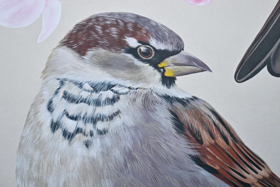 Nowy mural z ptakami przy ul. Kobierzyńskiej