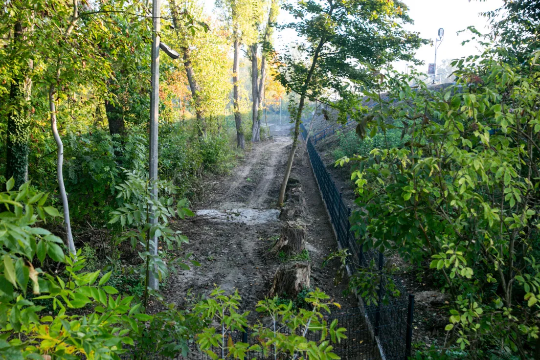 Ogrodzony teren pod budowę Akademii Muzycznej