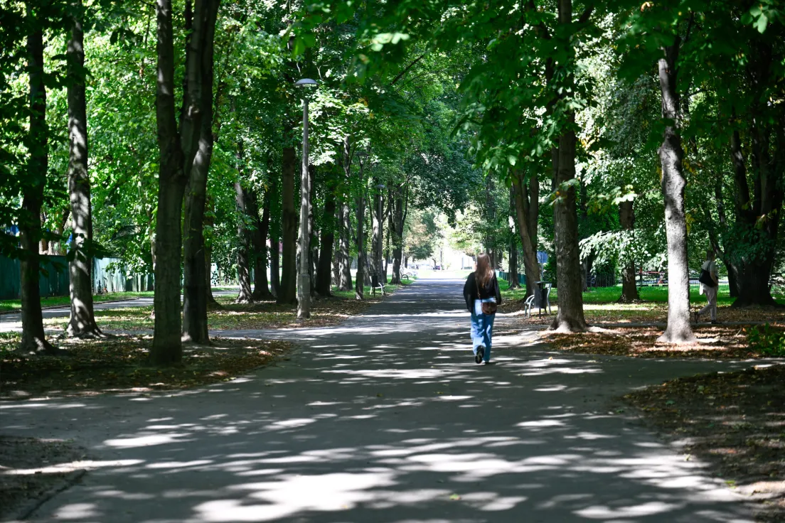 Planty Bieńczyckie