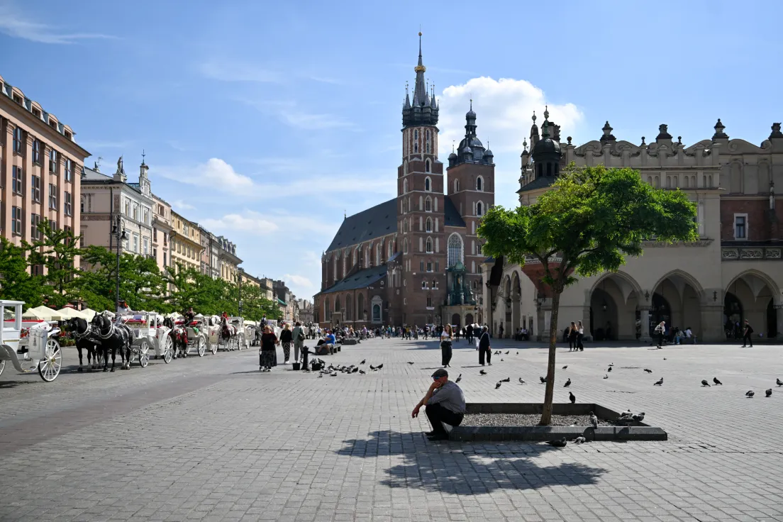 Zieleń na Rynku Głównym
