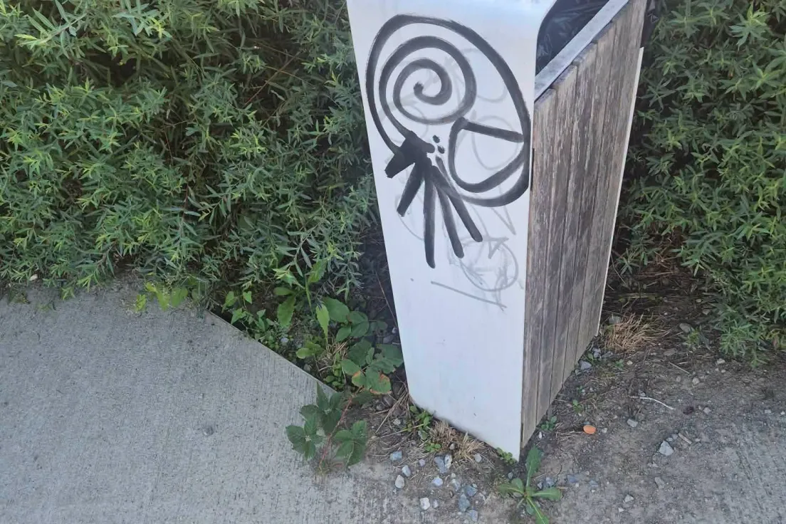 Zniszczone Niepołomickie Błonia