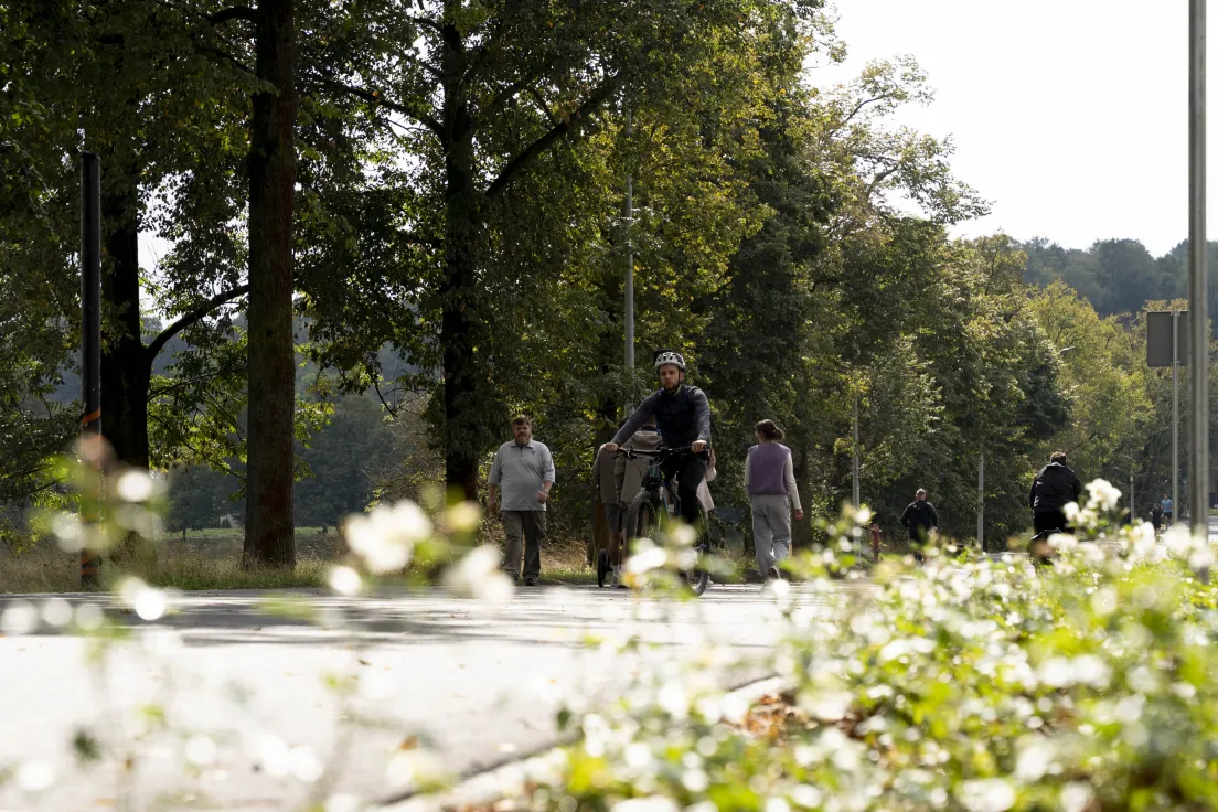 Nowa alejka wzdłuż ul. Piastowskiej