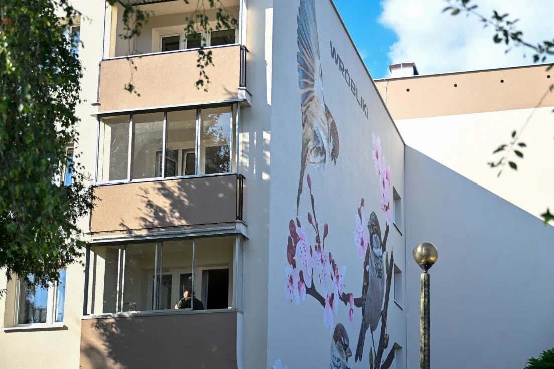 Nowy mural z ptakami przy ul. Kobierzyńskiej