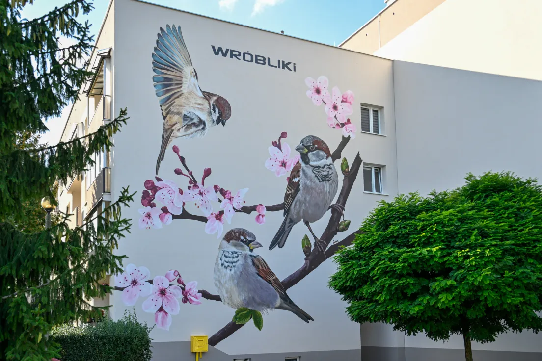 Nowy mural z ptakami przy ul. Kobierzyńskiej