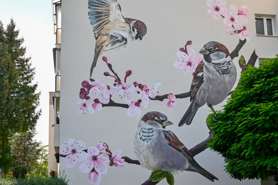 Nowy mural z ptakami przy ul. Kobierzyńskiej