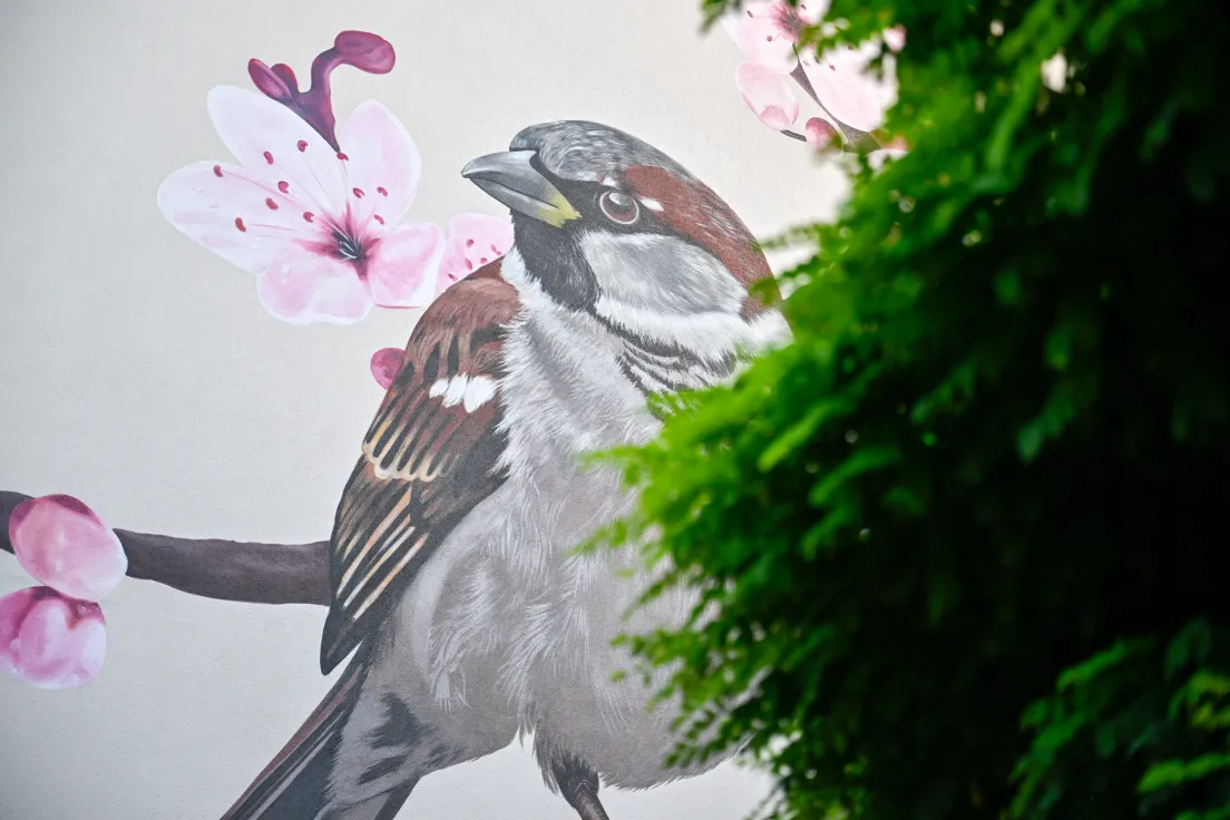 Nowy mural z ptakami przy ul. Kobierzyńskiej