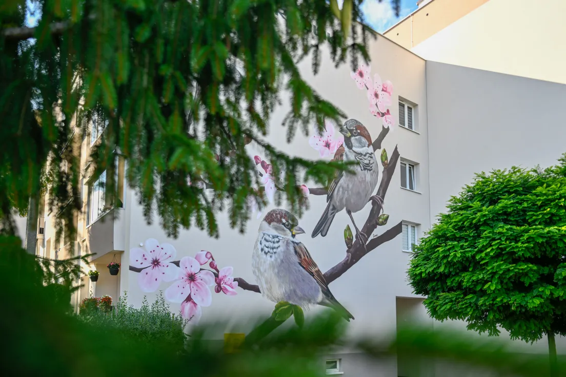 Nowy mural z ptakami przy ul. Kobierzyńskiej