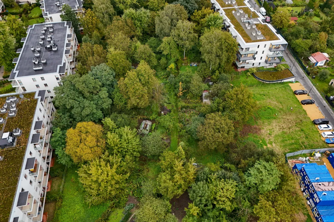 Pozostałości po ogródkach działkowych przy Tauron Arenie