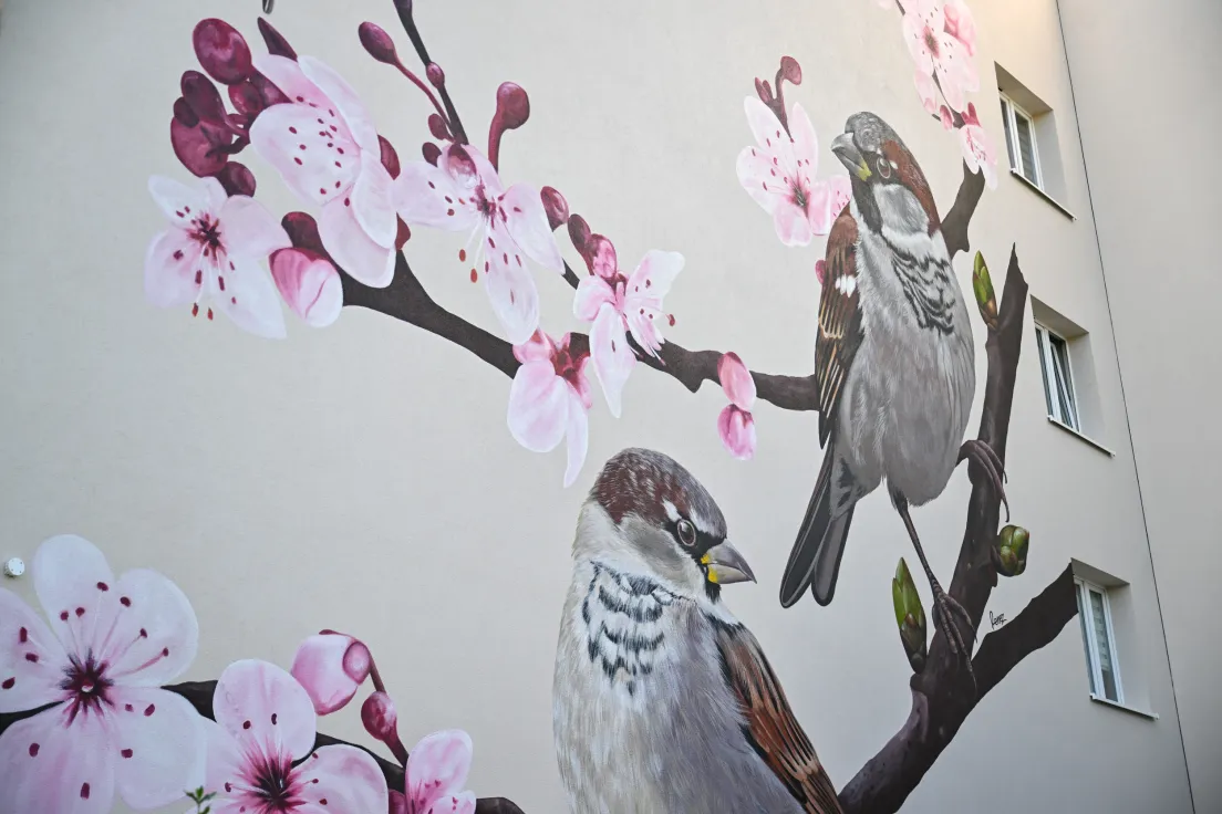 Nowy mural z ptakami przy ul. Kobierzyńskiej