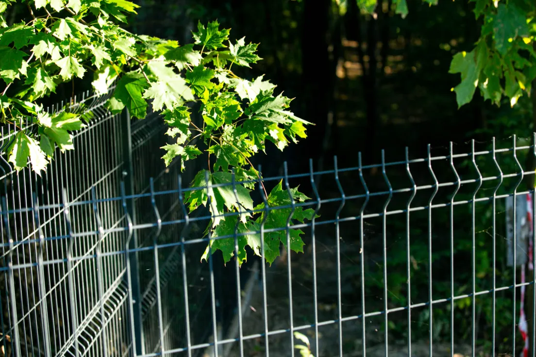 Ogrodzony teren pod budowę Akademii Muzycznej
