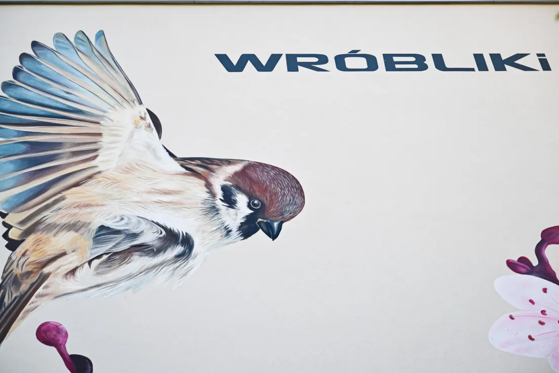 Nowy mural z ptakami przy ul. Kobierzyńskiej