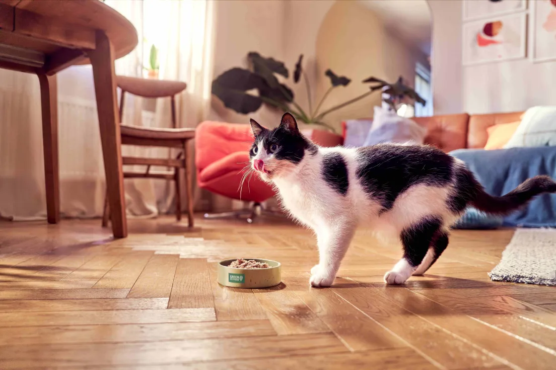 Green Petfood 