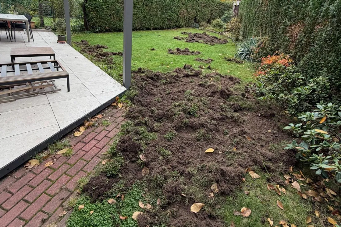 Osiedle domków szeregowych w sąsiedztwie ul. Obozowej i Skośnej