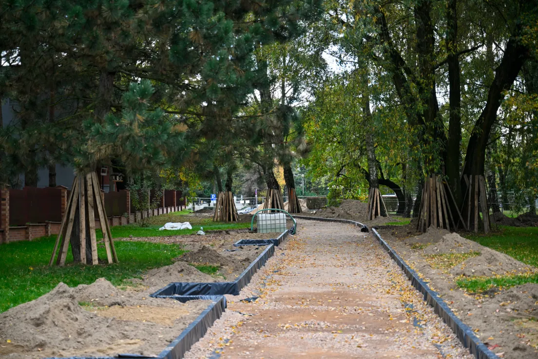 Budowa parku kieszonkowego przy ul. Aleksandry