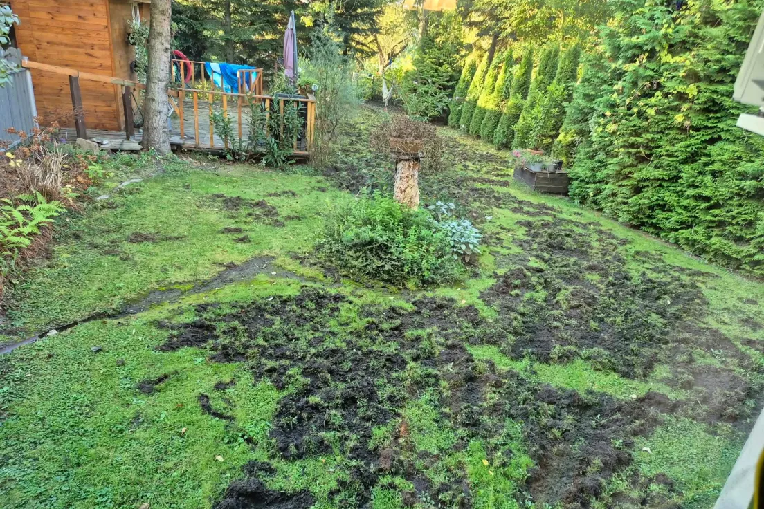 Podwórko jednego z domów przy ul. Gryczanej