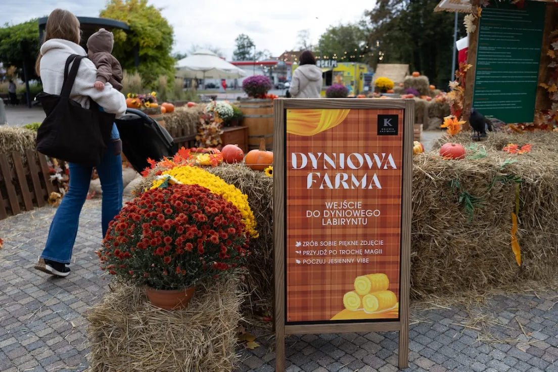 Dyniowa Farma przed Galerią Kazimierz