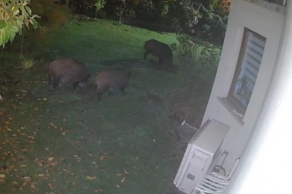 Osiedle domków szeregowych w sąsiedztwie ul. Obozowej i Skośnej