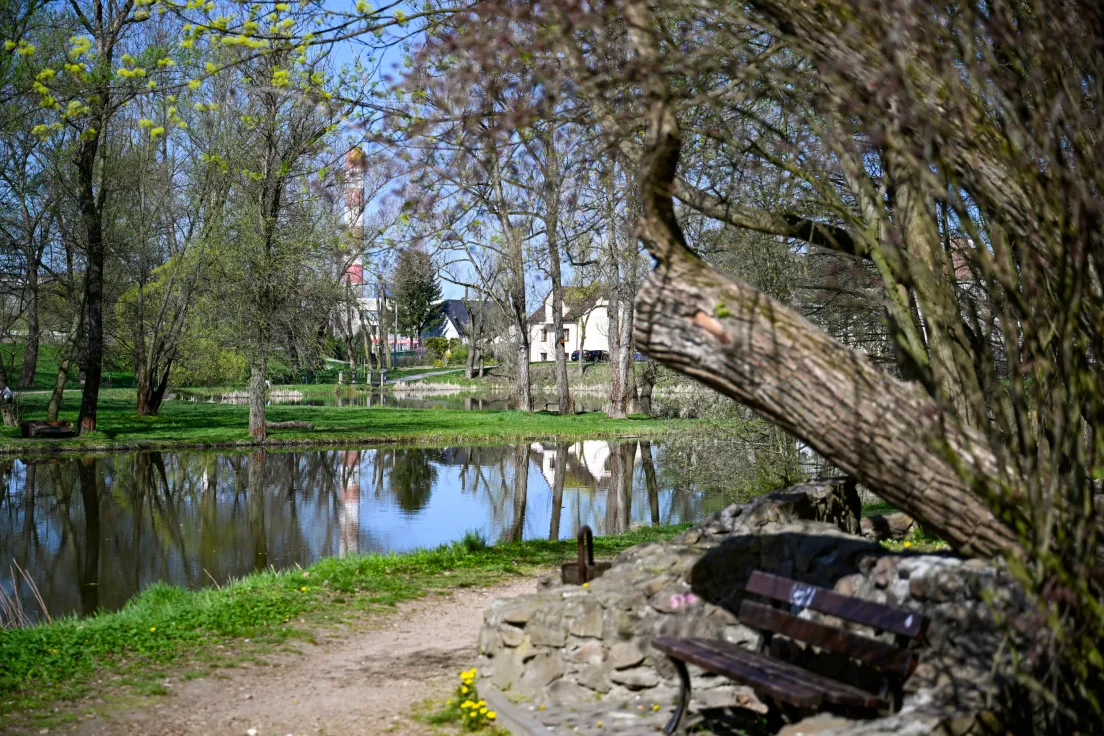 Park miejski w Skawinie